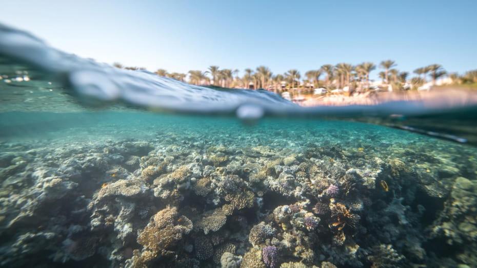 Four Seasons Resort Sharm El Sheikh Private Residential Villa & Chalet - Egypt ภายนอก รูปภาพ